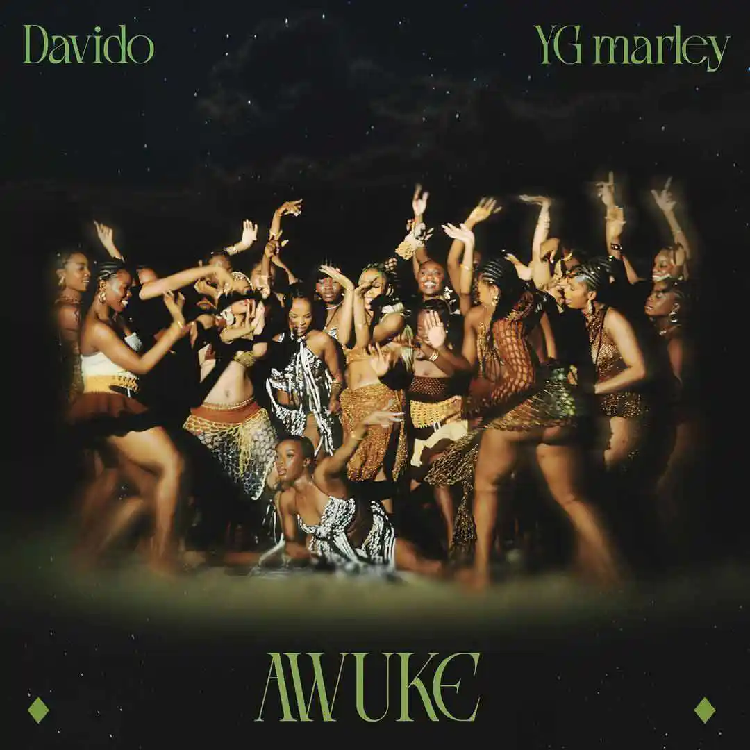 Davido Awuke ft YG Marley