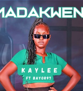 Kaylee Madakweni artwork