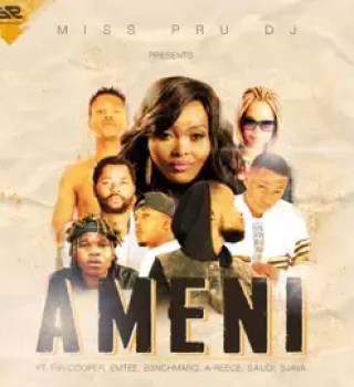 Miss Pru DJ Ameni artwork